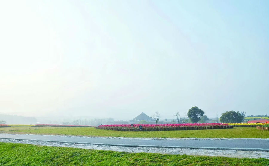 ab1e96cc126220d2508e3c39e499e48_副本.jpg 图片